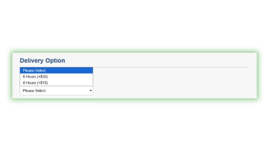 medical travel insurance form step 5